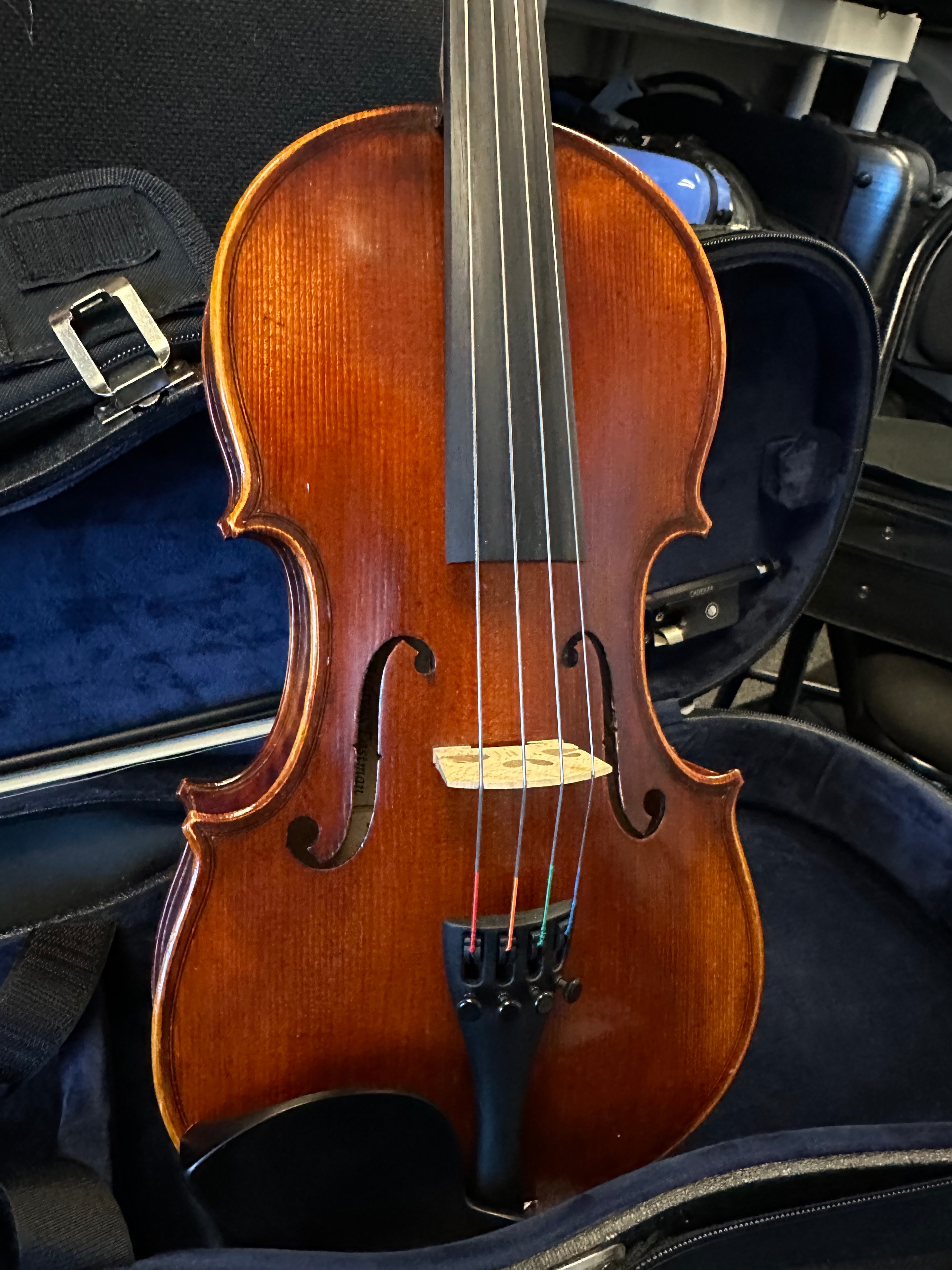 Violas for rental — all sizes