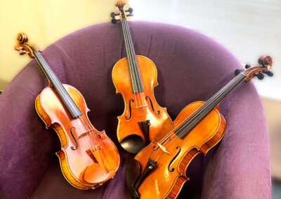 Instruments For Sale - Violins