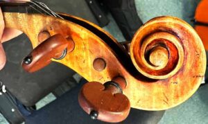 string instrument: scroll and pegs
