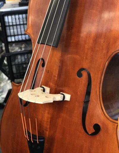 bass1
