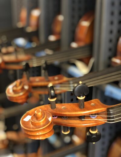 viola1